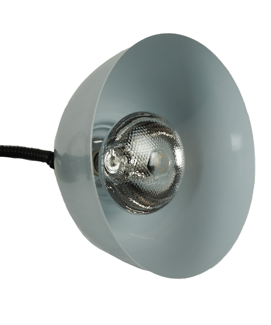 Hänge-Wärmelampe / CH-04 / Silber / Ø 240 mm / 0,25 kW / 230 V / Combisteel