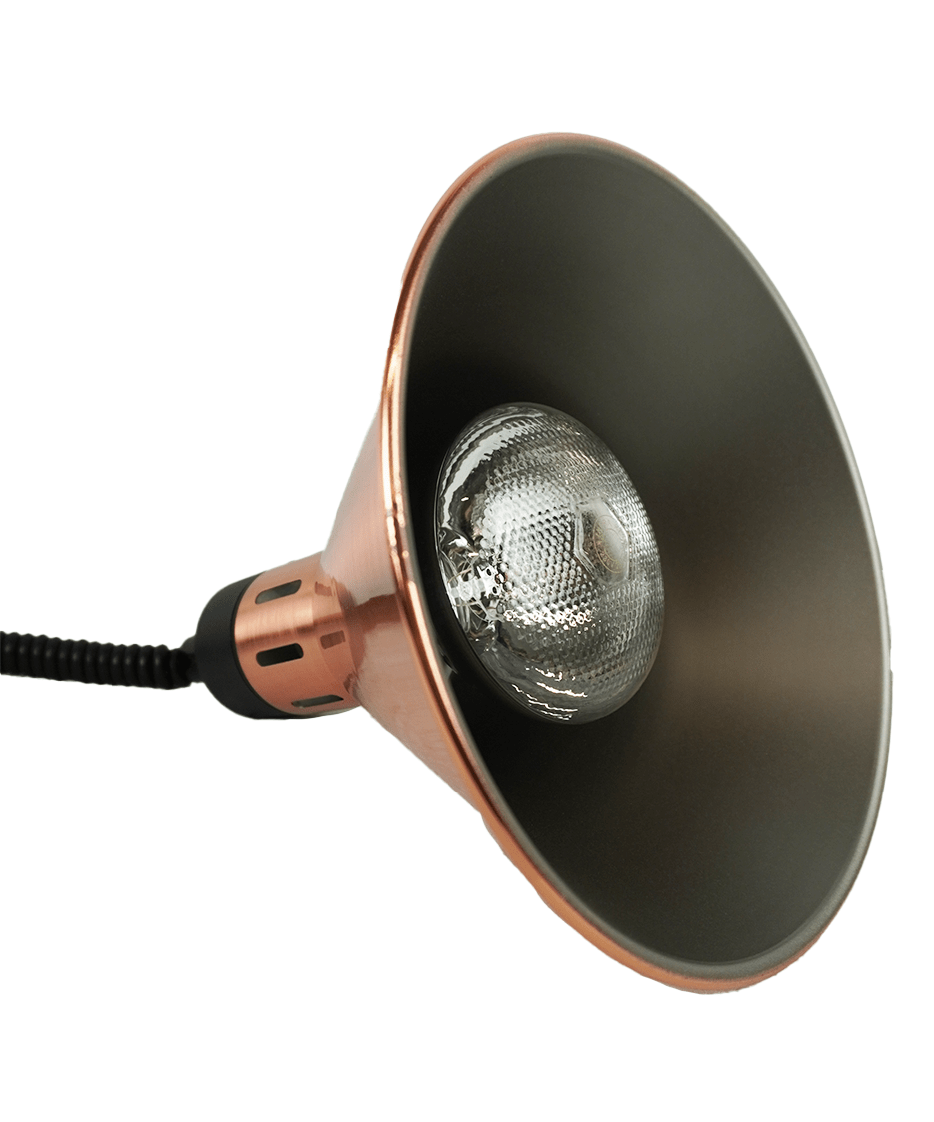 Hänge-Wärmelampe / CH-02 / Messing / Ø 275 mm / 0,25 kW / 230 V / Combisteel