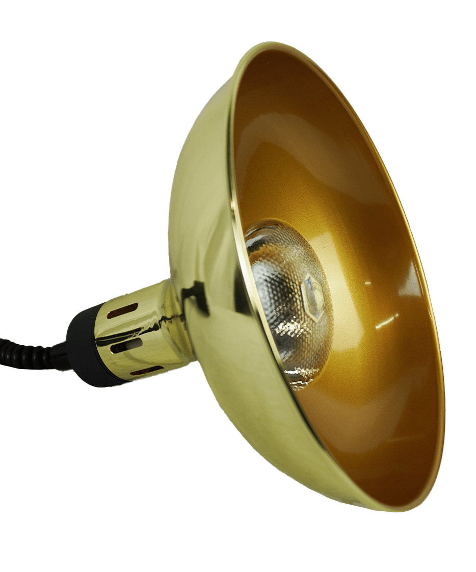 Hänge-Wärmelampe / CH-03 / Gold / Ø 290 mm / 0,25 kW / 230 V / Combisteel